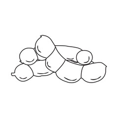 Tamarind icon