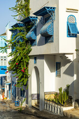 Maisons traditionnelles dans la ville de Sidi Bou Saïd en Tunisie