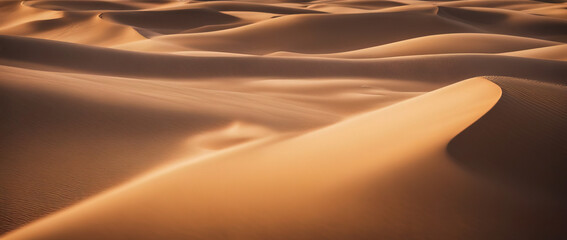 Fototapeta na wymiar Landscape of golden dune. Wide angle shot. Desert scene.