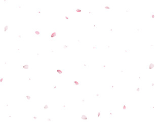 Magic Sakura Background