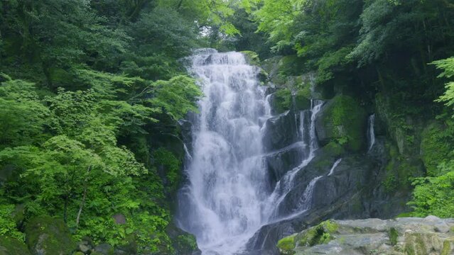 福岡県にあるマイナスイオンたっぷりの滝（糸島　白糸の滝）