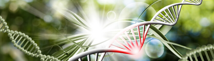 image of stylized models of DNA chains on a blurred green background