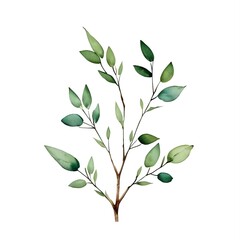Watercolor eucalyptus, generative ai