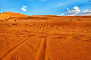 Hot deserts of southeastern part of the Arabian Peninsula. Orange barchan dune (inland sandhill areas, drift sands) in January. Sand hills are used by Arab motorists as an autodrome (amateur rally)