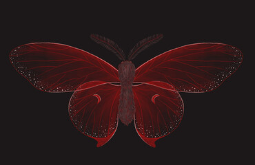 mystical illustration of a butterfly or moth. mysterious night in a secret garden. magic aesthetics, wildlife, retro vintage engraving style