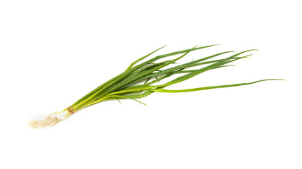 green onion on white background