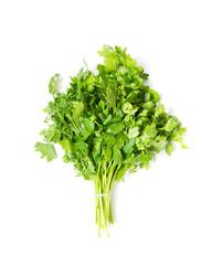 parsley greens on a white background