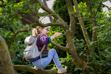 Naklejka na ściany i meble Little preschool girl with eyeglasses climbing on tree on family backyard. Lovely happy child hanging on magnolia tree, active games with children outdoors. Outdoor activity in park or garden