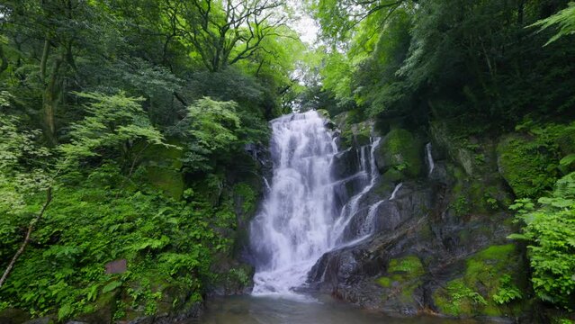 福岡県にあるマイナスイオンたっぷりの滝（糸島　白糸の滝）