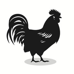 Pet poultry silhouettes and icons. Black flat color simple elegant Pet poultry animal vector and illustration.