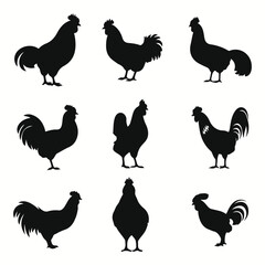 Pet poultry silhouettes and icons. Black flat color simple elegant Pet poultry animal vector and illustration.