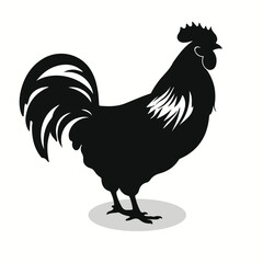 Pet poultry silhouettes and icons. Black flat color simple elegant Pet poultry animal vector and illustration.