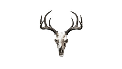 Majestic Stag: Intricate Cut-Out PNG of a White-Tailed Deer Skull with Powerful Antlers.