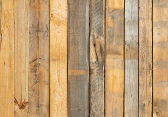 The wood texture background comes from the natural tree wood panel.