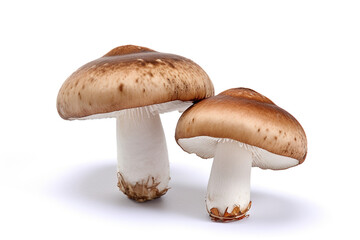 Fresh mushrooms isolated on white background .Generative Ai.