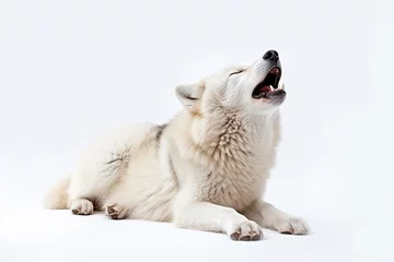 Deurstickers Howling white wolf isolated on white background.Generative Ai. © Inlovehem