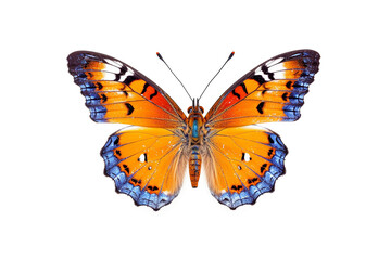 Butterfly isolated on white background.Generative Ai.