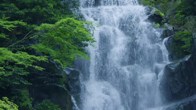 福岡県にあるマイナスイオンたっぷりの滝（糸島　白糸の滝）