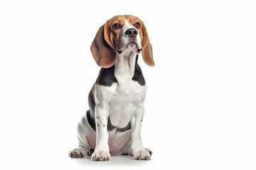 Beagle dog  isolated on white background.Generative Ai.