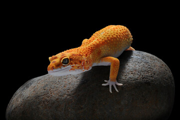 The Israeli south is rich in beautiful and mysterious places