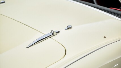 Chrome trunk hinge