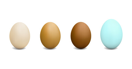 set of three realistic colors of chicken and duck eggs, vector illustration isolated on white background