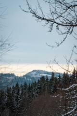 Winter at Sumava national park