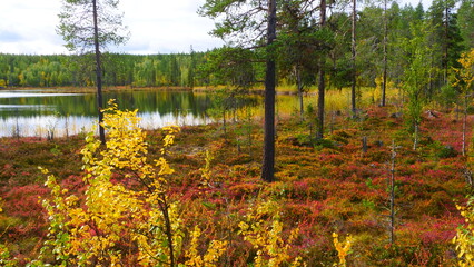 view on lake in nordic autumnally colored landscape