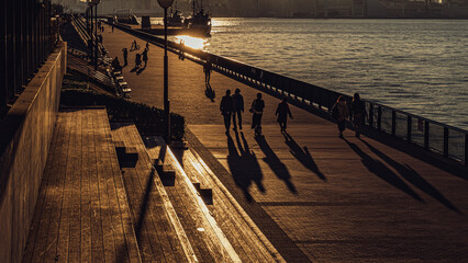 夕陽と散歩する人