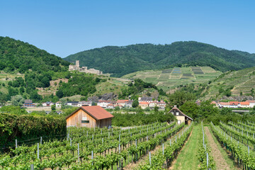 Fototapeta na wymiar Wachau Valley, Austria