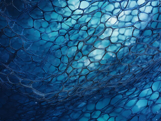 Underwater with blue fishing net in the blue sea background