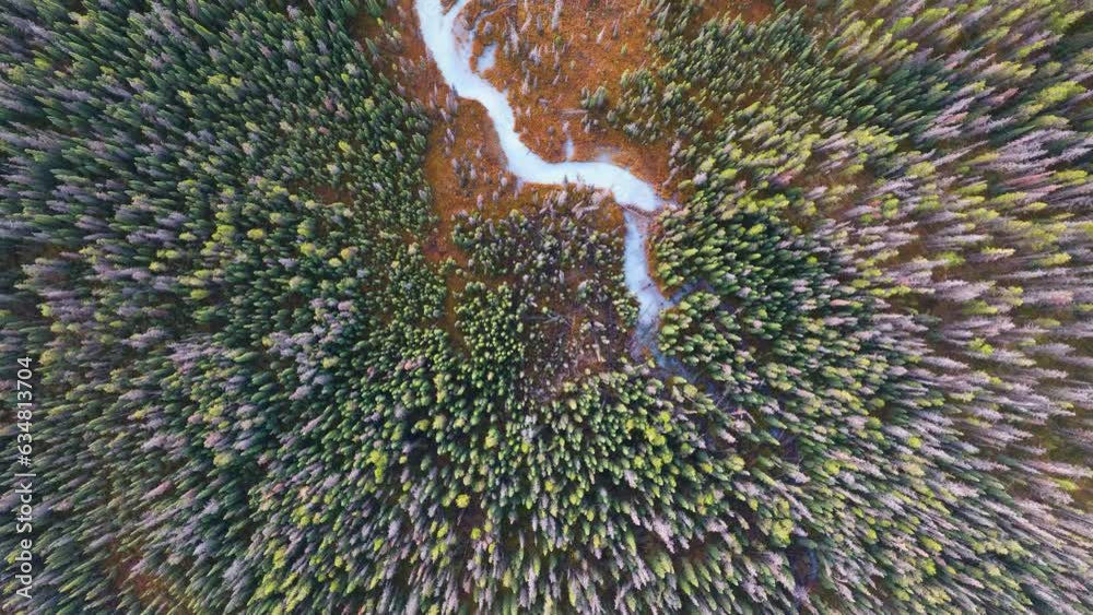 Wall mural a drone view of the river in the woods. an aerial view of an autumn forest. winding river among the 