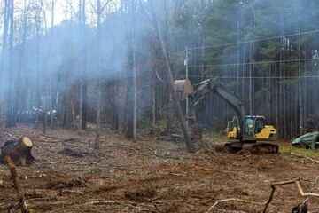 Using an excavator worker is clearing area uprooting trees to build house.