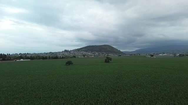 Campo de milpas
