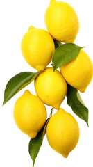 a Lemons with leaves in a vertical layout, in a Food-themed, photorealistic illustration in a PNG, cutout, and isolated. generative AI