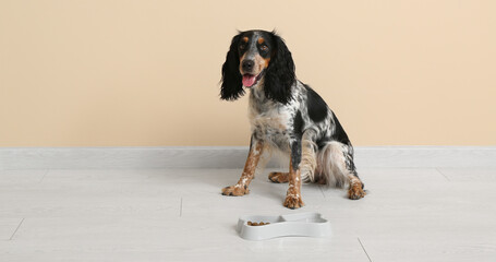 Cute dog sitting near bowl with food and water in room