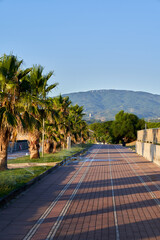 Vertical of a pathway lined with palm trees at waterfront of Montepaone Lido, Catanzaro, Calabria