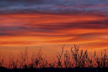 The clouds are multicolored, thunderous bizarre shapes against the blue sky