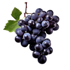 Fototapeta premium Concord Grapes with leaves in a Food-themed, photorealistic illustration in a PNG, cutout, and isolated. generative ai