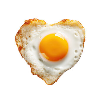 Sunny Side UP, egg illustration, png