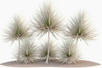 3D render of Yucca Decipiens on transparent background. Generative AI