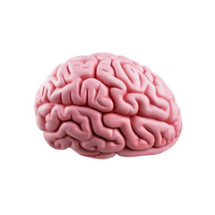 Brain Isolated on Transparent Background