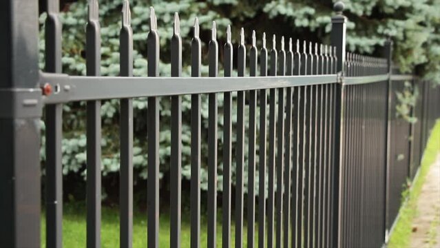 long black metal bar fence with pine tree and grass behind it