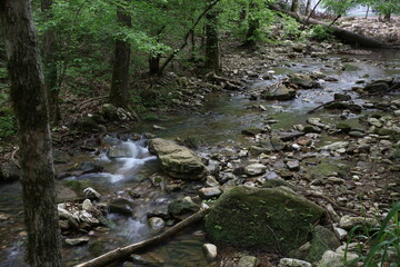 Flowing Stream along the Rocks