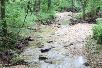 Arkansas Rocky Stream