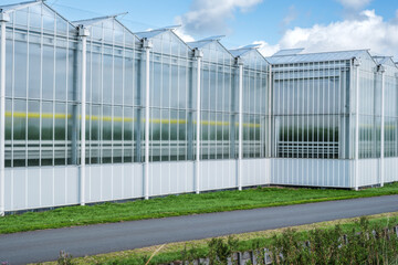Perspective view of a modern industrial greenhouse in the Westland, the Netherlands. Westland is a region in of the Netherlands.
