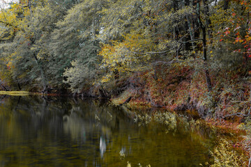 Mountain Stream Reflections 2