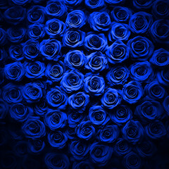 Blue Roses Pattern Background Texture Illustration