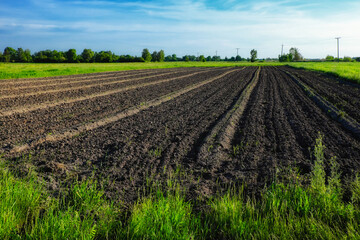 Plowed garden. Plowed chernozem. Cultivated farmland. Scenery.