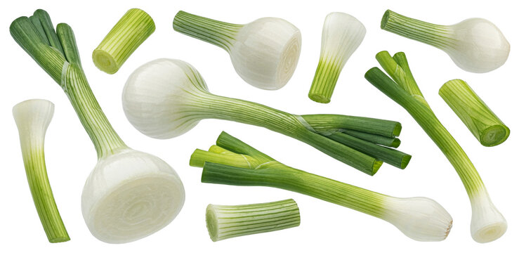 Green onion isolated on white background with clipping path